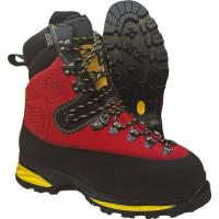 Chaussures Excelsior SBP AN CI E HI WR